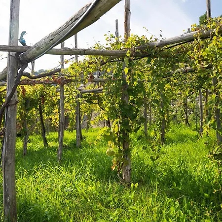 Dimora De Feo 公寓 *