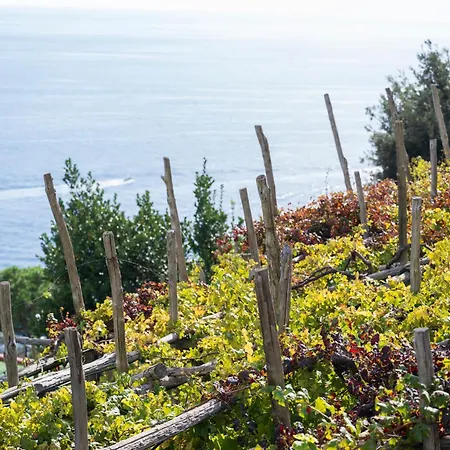 Casa De Feo Apartamento