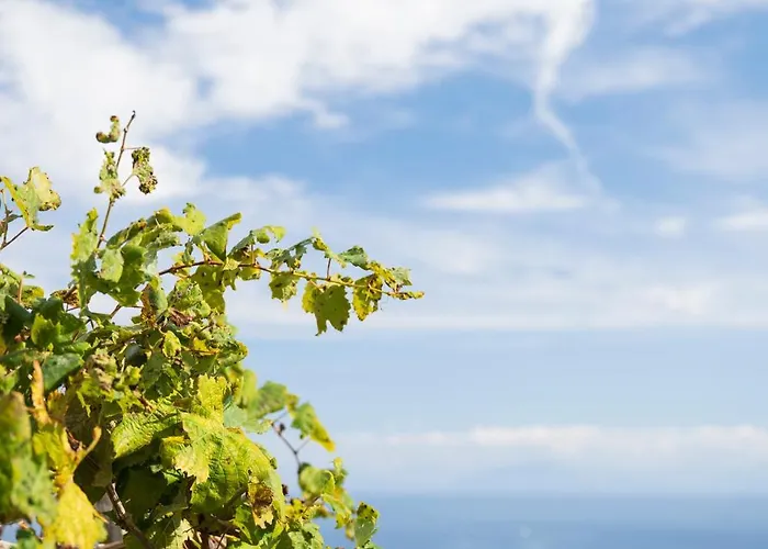 Dimora De Feo أمالفي