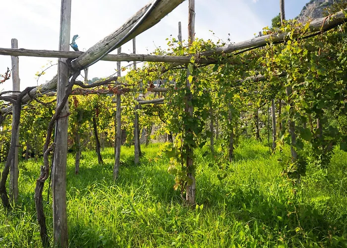 Dimora De Feo شقة *