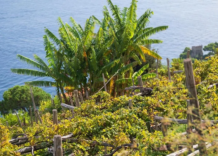 Dimora De Feo أمالفي