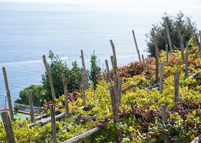 Dimora De Feo شقة