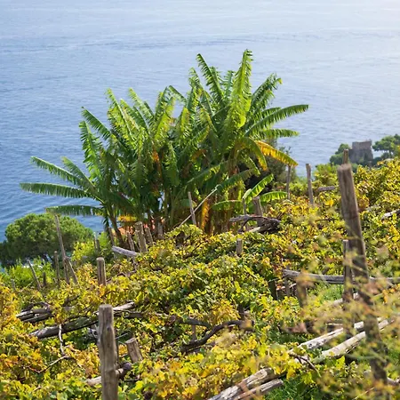 Dimora De Feo Amalfi